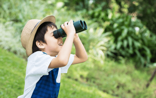 
Tạo điều kiện cho trẻ có những chuyến tham quan, du lịch ngắn ngày
