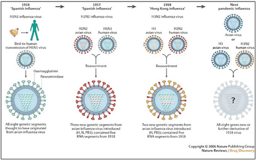 
Hình 3. Hình ảnh virus Cúm theo thời gian
