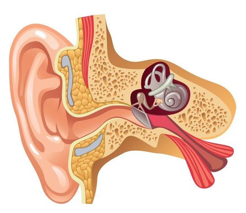 Xốp xơ tai là bệnh gì?