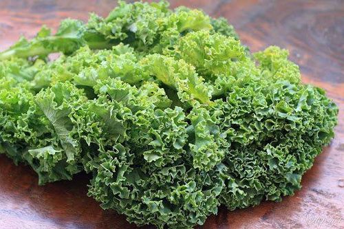 
Cải xoăn thuộc họ Brassica oleracea cũng tương tự như súp lơ xanh
