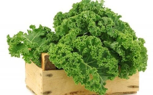 Kale is rich in vitamins and fiber