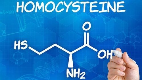 
Bổ sung vitamin B có thể làm giảm mức homocysteine rất có ích cho chức năng não
