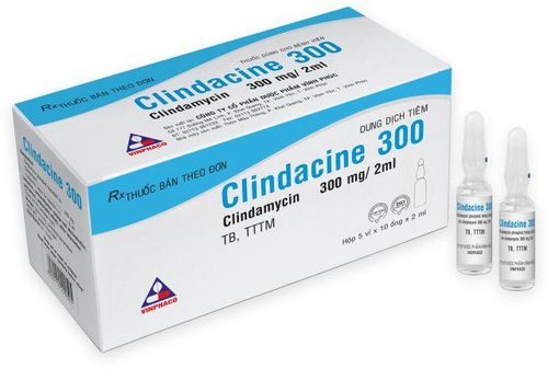 
Thuốc Clindamycin HCl có thể gây ra một số tương tác nhất định
