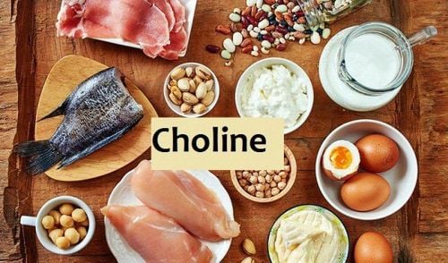 
Choline là một chất dinh dưỡng thiết yếu, cần thiết cho hoạt động bình thường của cơ thể
