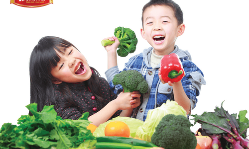 Daily balanced nutrition pyramid for children 1-2 years old