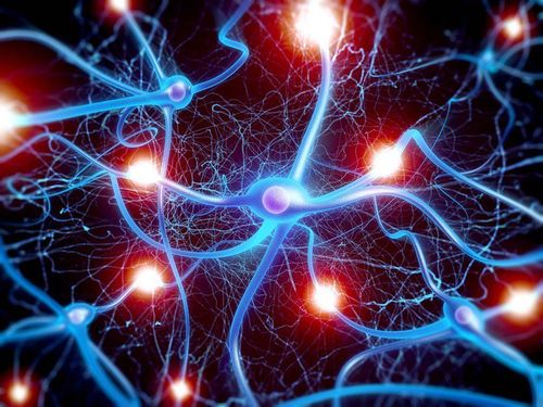 Cách chất dẫn truyền thần kinh giúp cơ thể bạn giao tiếp và kết nối