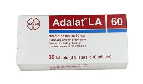 Adalat: Uses, indications and precautions when using