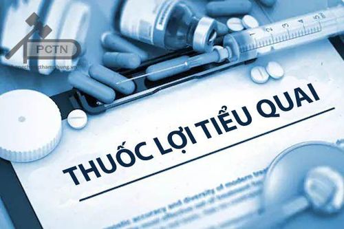 
Thuốc lợi tiểu quai là loại thuốc lợi tiểu mạnh nhất thường được sử dụng để điều trị suy tim
