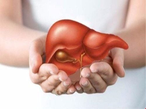 Liver Cleansing: Is it Really Possible to Detoxify?