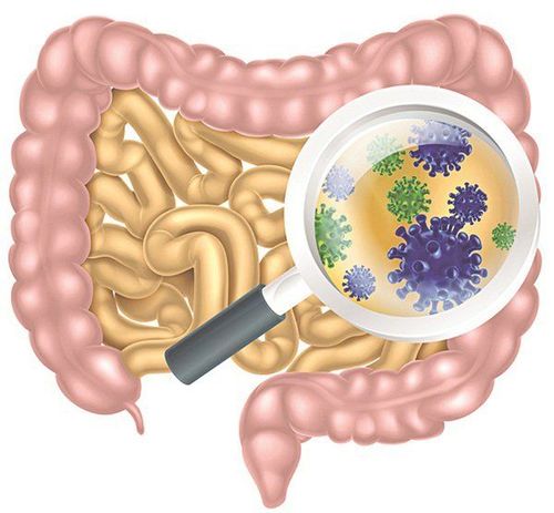 Risk of infection in the elderly with inflammatory bowel disease