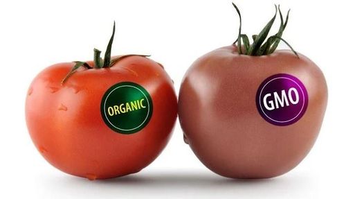 
Tem dán thực phẩm của sinh vật biến đổi gen (GMO)
