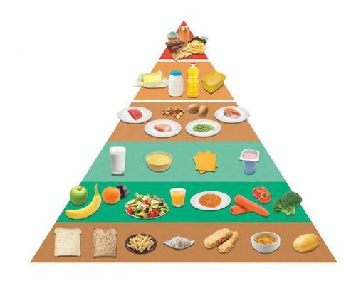 Nutrition pyramid for children weaning