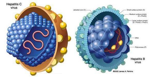 Both HbsAg and HBeAg are positive, HBV DNA >10^5 and elevated liver enzymes mean chronic dormant hepatitis B?