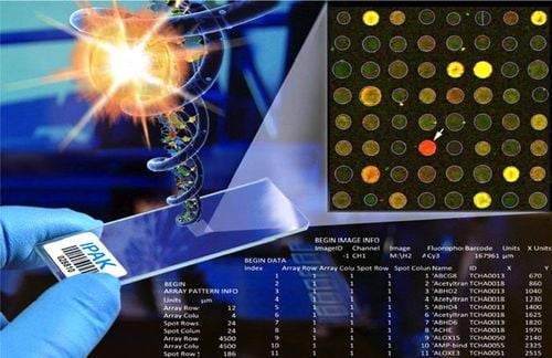 Các công nghệ microarray và ứng dụng trong di truyền