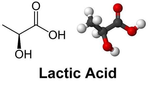 
Axit lactic có thể phá vỡ sự trao đổi chất của vi sinh vật-vi sinh vật đường ruột
