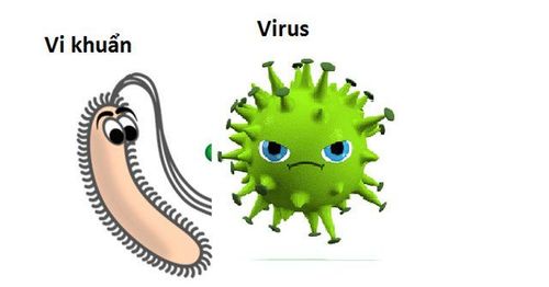 
Các loại vi khuẩn tạo ra enzyme phân hủy dẫn đến tình trạng đa kháng kháng sinh
