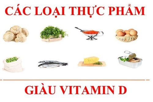 
Các thực phẩm chứa nhiều vitamin D
