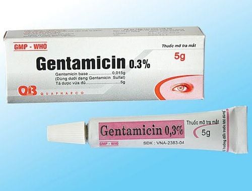 
Thuốc mỡ gentamicin 0,3%
