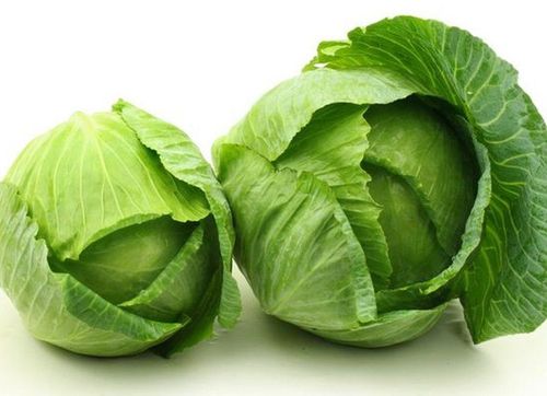 Is it good to eat cabbage?