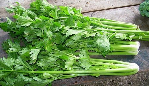 What are the benefits of eating celery?