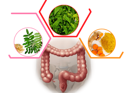 
Tiêu thụ lượng thức ăn nhỏ, tránh thức ăn thô và nhiều chất xơ sẽ giúp điều trị viêm loét đại tràng tốt hơn
