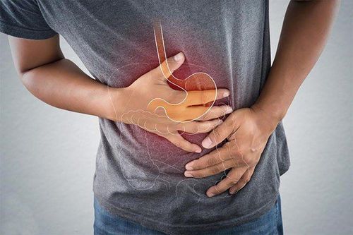 Dạ dày là một cơ quan nằm ở phần bụng trên giữa thực quản và ruột non