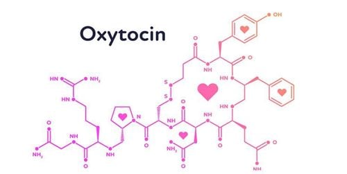 Oxytocin - Hormone tình yêu: Điều trị các rối loạn nhận thức