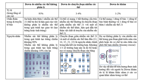 Kết quả sàng lọc thai 11 tuần như thế nào có nguy cơ mắc hội chứng Down?