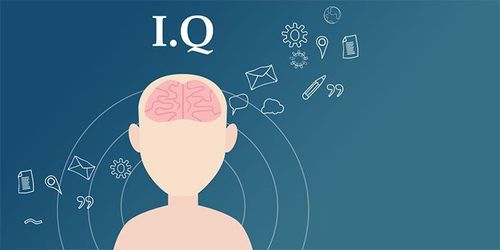 
Điểm IQ có thể bị ảnh hưởng bởi các yếu tố như dinh dưỡng, tình trạng sức khỏe,...
