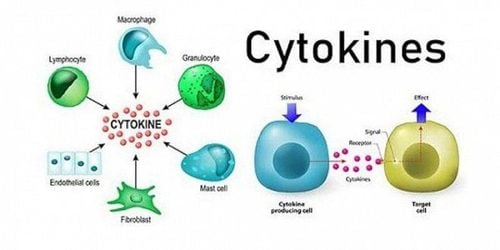 
Suy gan trong đợt nhiễm trùng SARS-CoV-2 có thể do giải phóng cytokine
