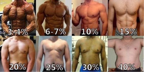 What is the ideal body fat percentage for the body?
