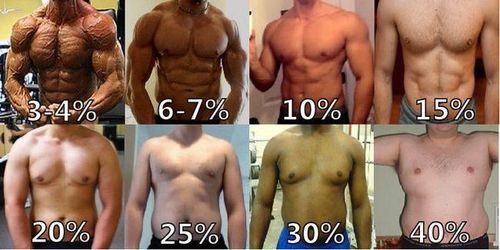 Tỷ lệ % mỡ cơ thể lý tưởng cho cơ thể là bao nhiêu?