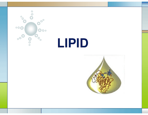 
Mức lipid tối ưu được đặc trưng bởi mức LDLc thấp và mức HDLc cao
