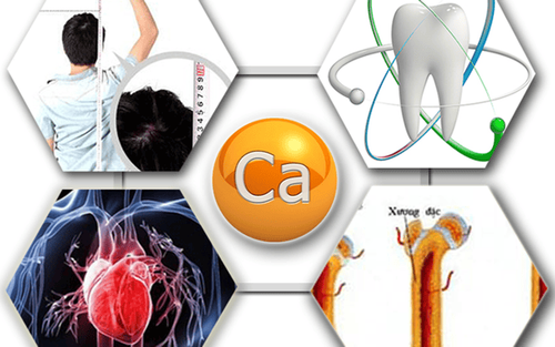 How to absorb calcium well?