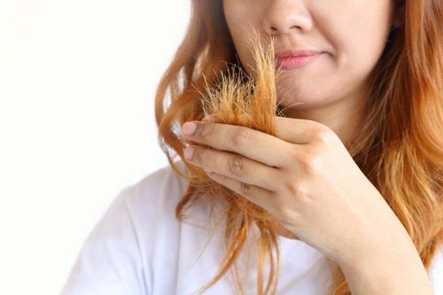 How to repair damaged hair?