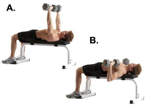 Chest exercises with dumbbells