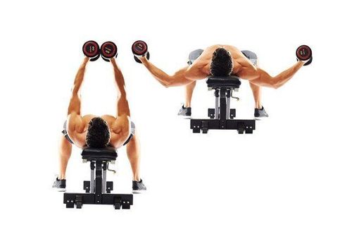 
Bài tập Incline Dumbbell Flyes tác động lên nhóm cơ ngực và bắp tay, có sử dụng tạ đôi
