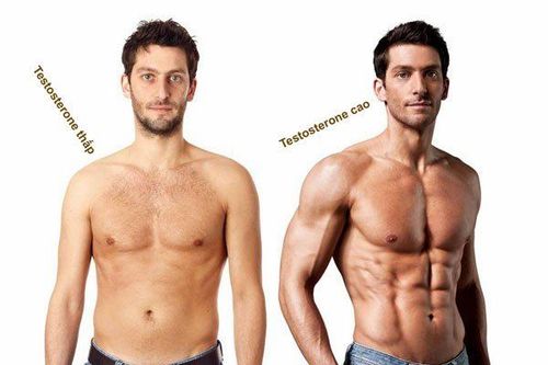 
Hít đất giúp làm tăng hormone nam giới - testosterol
