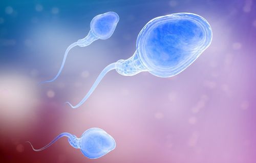 Can vacuolar spermatozoa be able to conceive naturally?