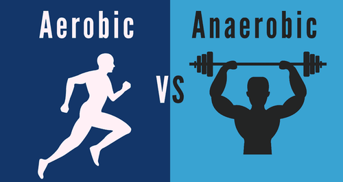 What is Aerobic and Anaerobic?