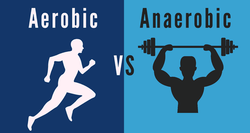 Aerobic và Anaerobic là gì?