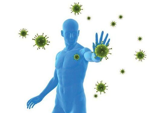 
Hệ thống miễn dịch kiểm soát xâm nhập của vi khuẩn H. pylori
