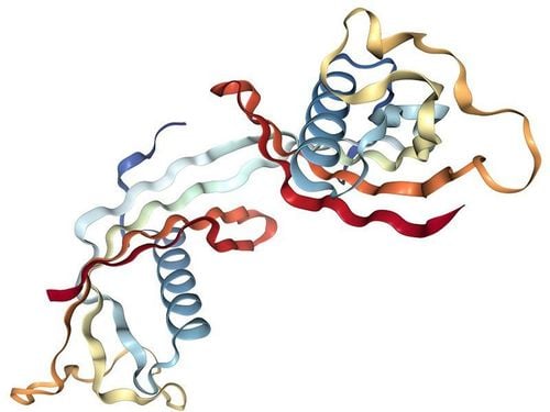 Cystatin C test to assess kidney function