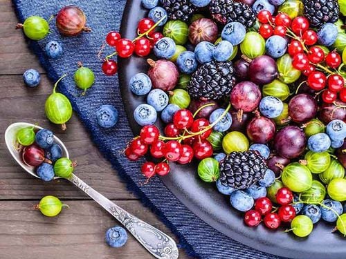 What are berries and what types are included?