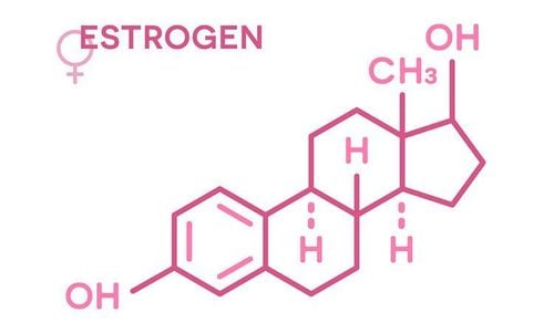 
Thuốc estrogen là phương pháp điều trị hiệu quả cho phụ nữ bị rụng tóc khi tới thời kỳ mãn kinh
