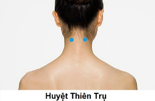 
Vị trí huyệt thiên trụ
