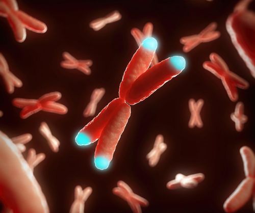 Telomere: Chìa khóa để sống khỏe và không bệnh tật