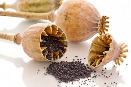 6 outstanding benefits of poppy seeds