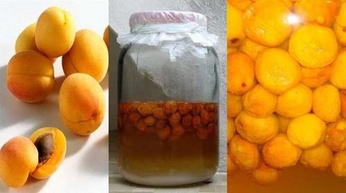 What is the effect of soaked apricots?