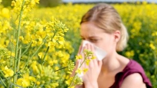 Pollen allergy: Classification, symptoms and treatment